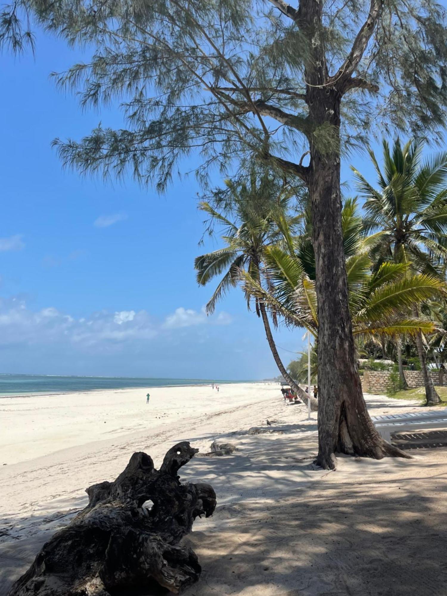 Stilts Diani Beach Hostel Exterior photo